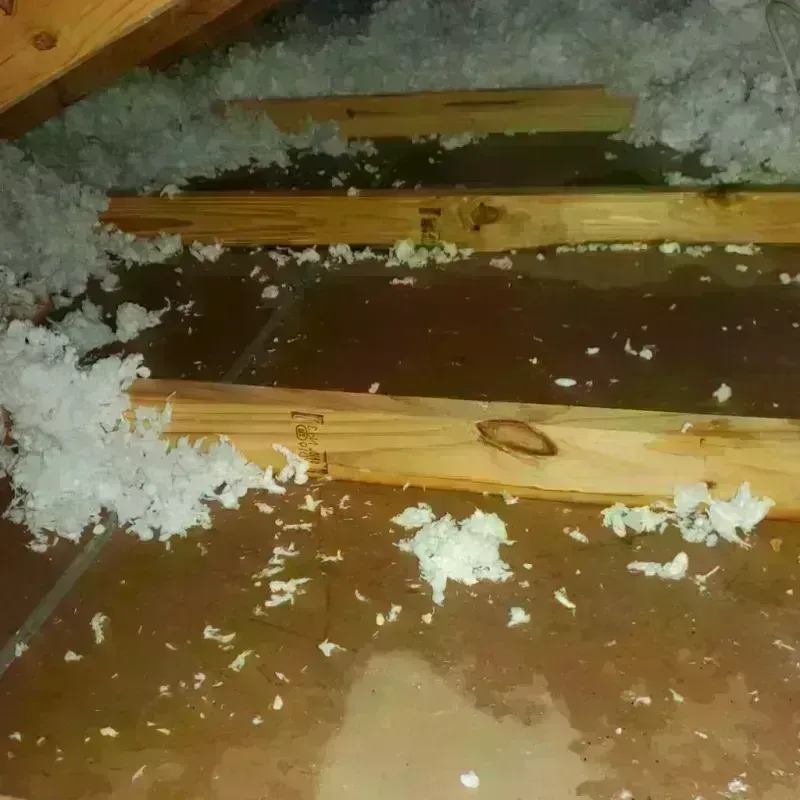 Attic Water Damage in North Webster, IN